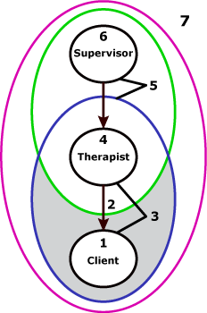 Therapy supervision